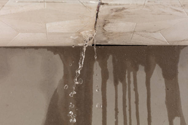 Professional Flood Damage Cleanup technician working in Perryville, KY
